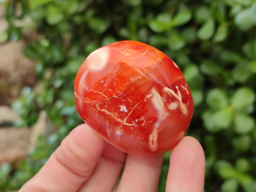 Polished Carnelian Agate Gemstone Galets x 20 From Madagascar