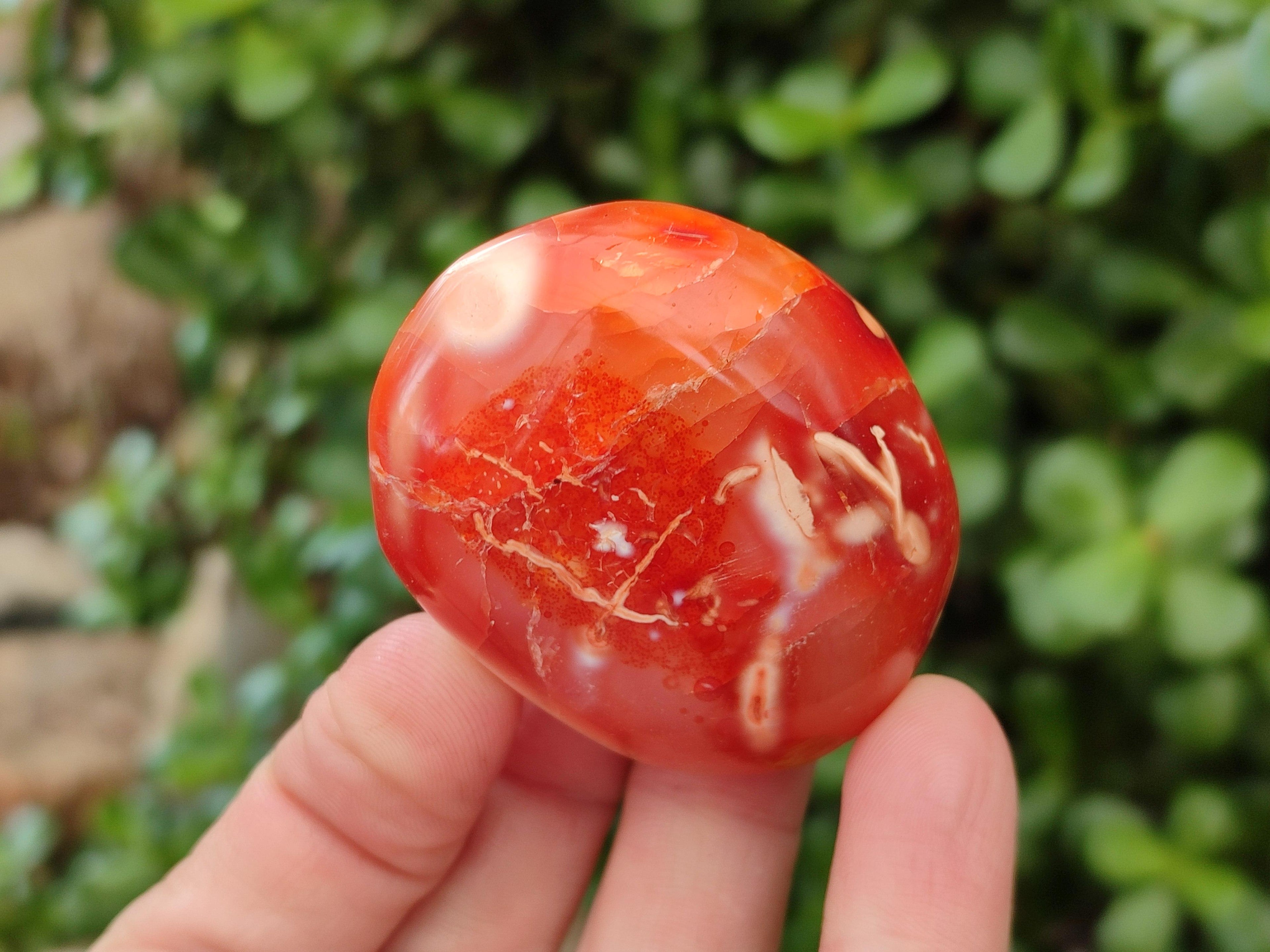 Polished Carnelian Agate Gemstone Galets x 20 From Madagascar