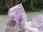 Natural Jacaranda Amethyst Crystal Clusters x 2 From Mumbwa, Zambia