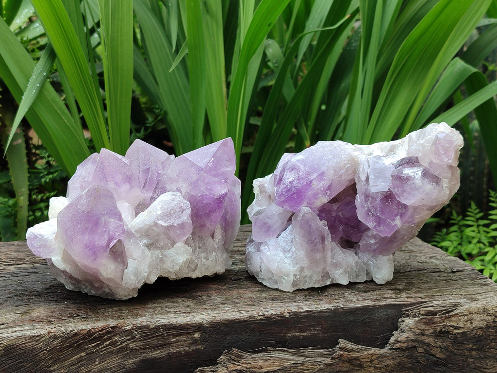 Natural Jacaranda Amethyst Crystal Clusters x 2 From Mumbwa, Zambia