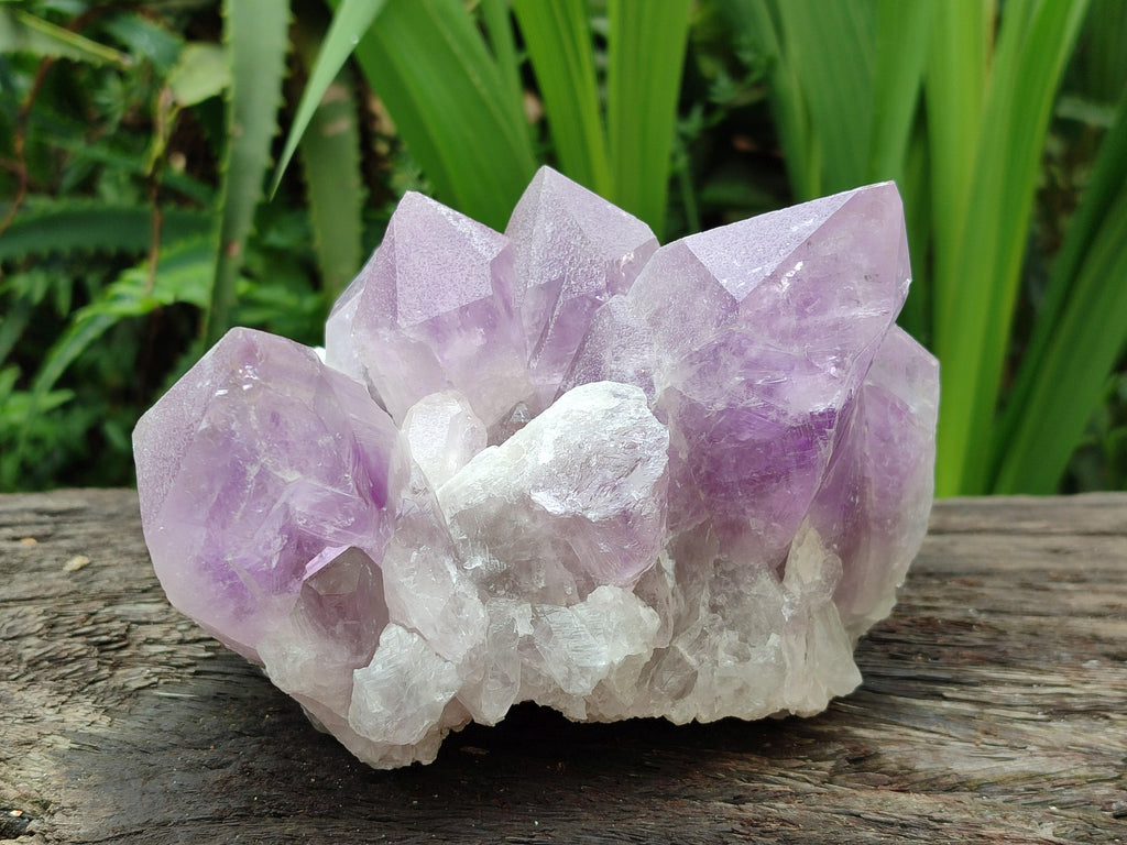 Natural Jacaranda Amethyst Crystal Clusters x 2 From Mumbwa, Zambia
