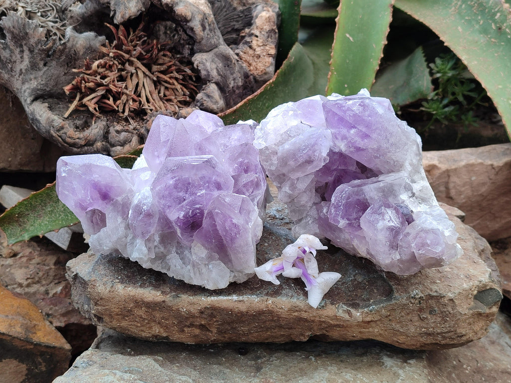 Natural Jacaranda Amethyst Crystal Clusters x 2 From Mumbwa, Zambia