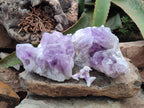 Natural Jacaranda Amethyst Crystal Clusters x 2 From Mumbwa, Zambia