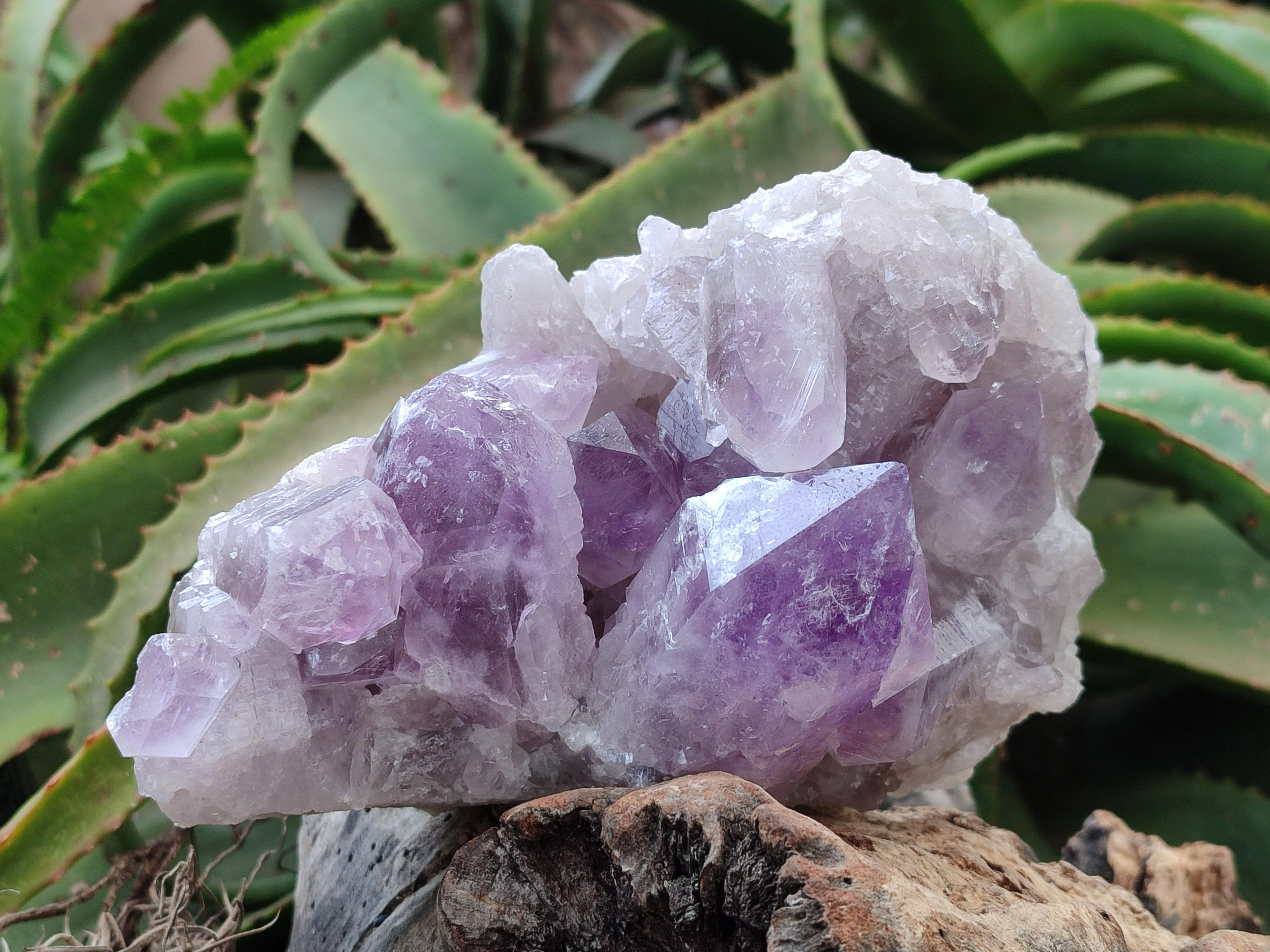Natural Jacaranda Amethyst Crystal Clusters x 2 From Mumbwa, Zambia