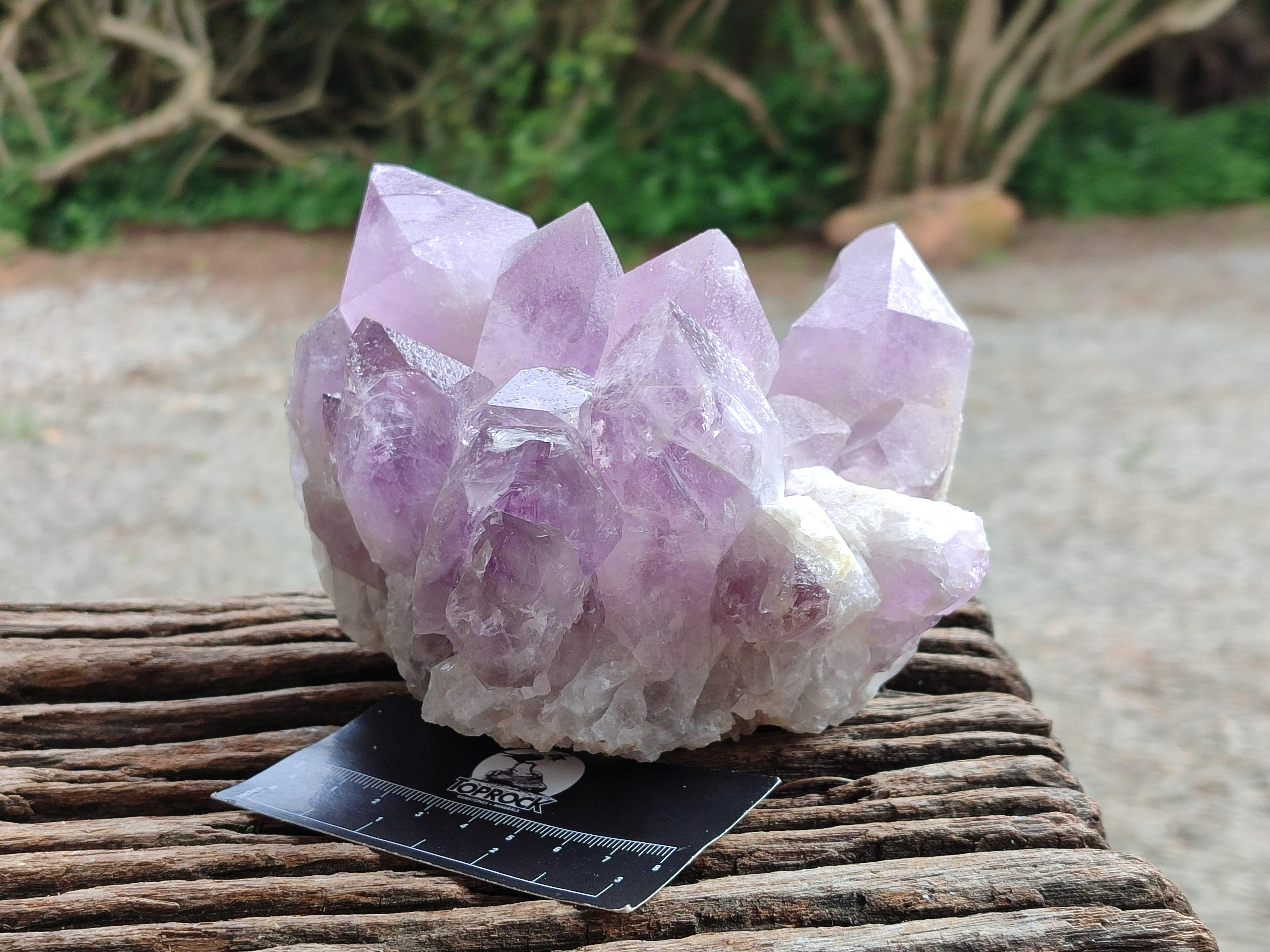 Natural Jacaranda Amethyst Crystal Clusters x 2 From Mumbwa, Zambia