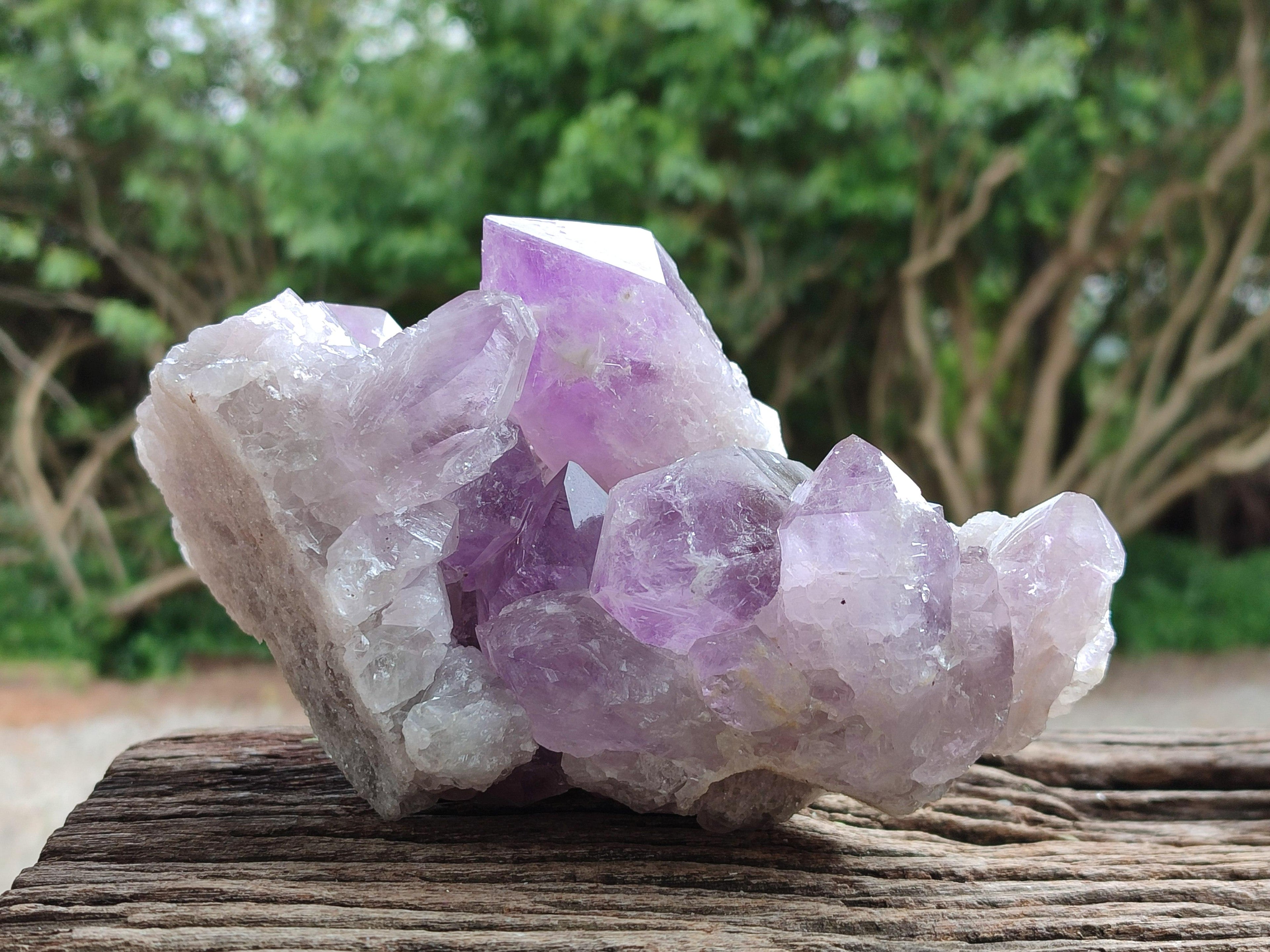 Natural Jacaranda Amethyst Crystal Clusters x 2 From Mumbwa, Zambia