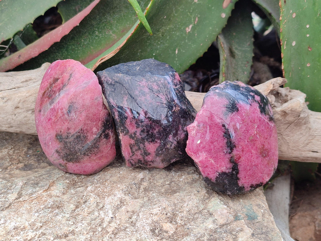 Polished On One Side Rhodonite Nodules x 4 From Ambindavato, Madagascar