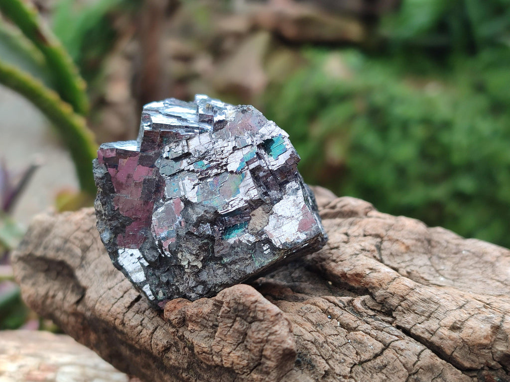 Natural Bright Silver Lead Galena Cobbed Specimens x 12 From Kaokoveld, Namibia