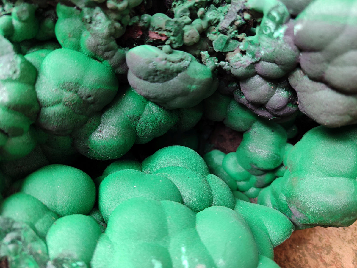 Natural XXL Botryoidal Malachite Specimen x 1 From Congo