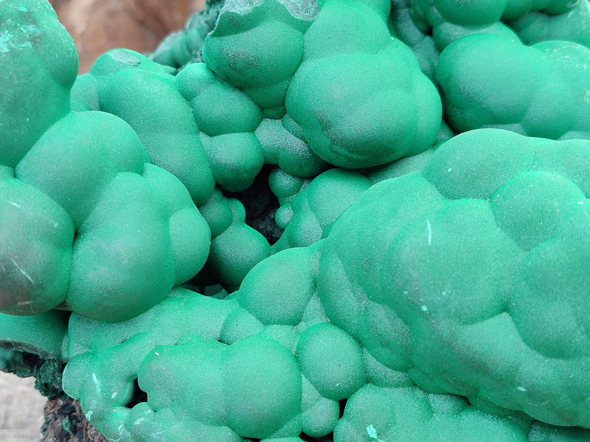 Natural XXL Botryoidal Malachite Specimen x 1 From Congo