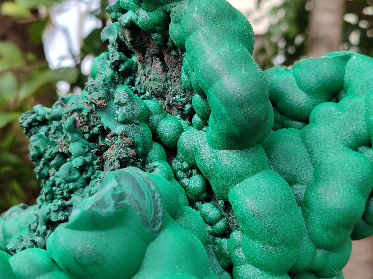 Natural XXL Botryoidal Malachite Specimen x 1 From Congo