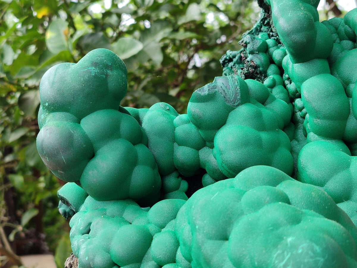 Natural XXL Botryoidal Malachite Specimen x 1 From Congo