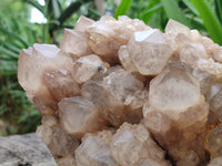 Natural Large Smokey Phantom Quartz Cluster x 1 From Luena, Congo