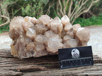 Natural Large Smokey Phantom Quartz Cluster x 1 From Luena, Congo