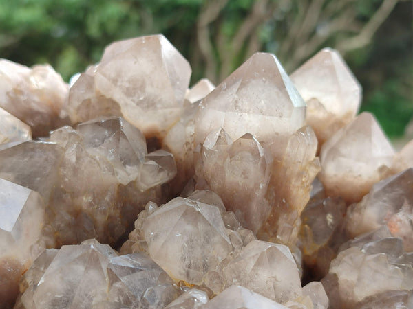 Natural Large Smokey Phantom Quartz Cluster x 1 From Luena, Congo