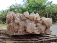 Natural Large Smokey Phantom Quartz Cluster x 1 From Luena, Congo