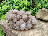 Natural Large Smokey Phantom Quartz Cluster x 1 From Luena, Congo