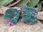 Natural Crystalline Malachite Specimens x 2 From Tenke Fungurume, Congo