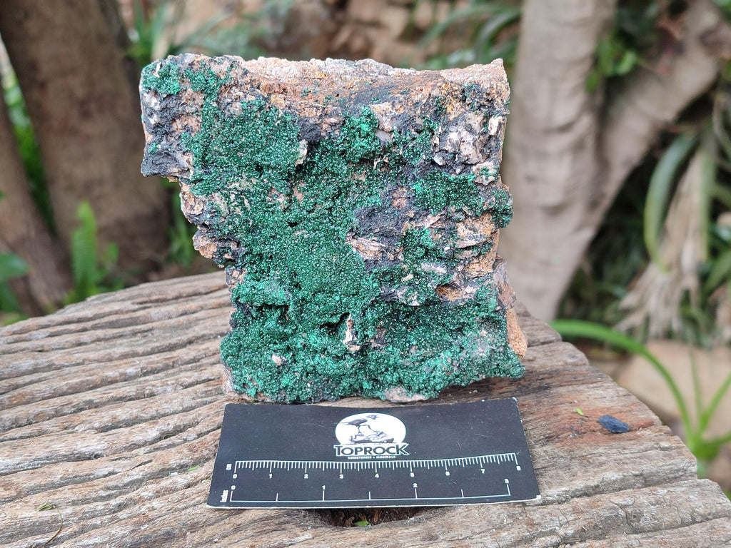 Natural Crystalline Malachite Specimens x 2 From Tenke Fungurume, Congo