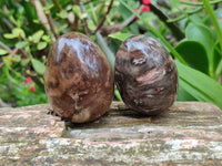 Polished Dadoxylon Petrified Wood Eggs x 12 From Gokwe, Zimbabwe