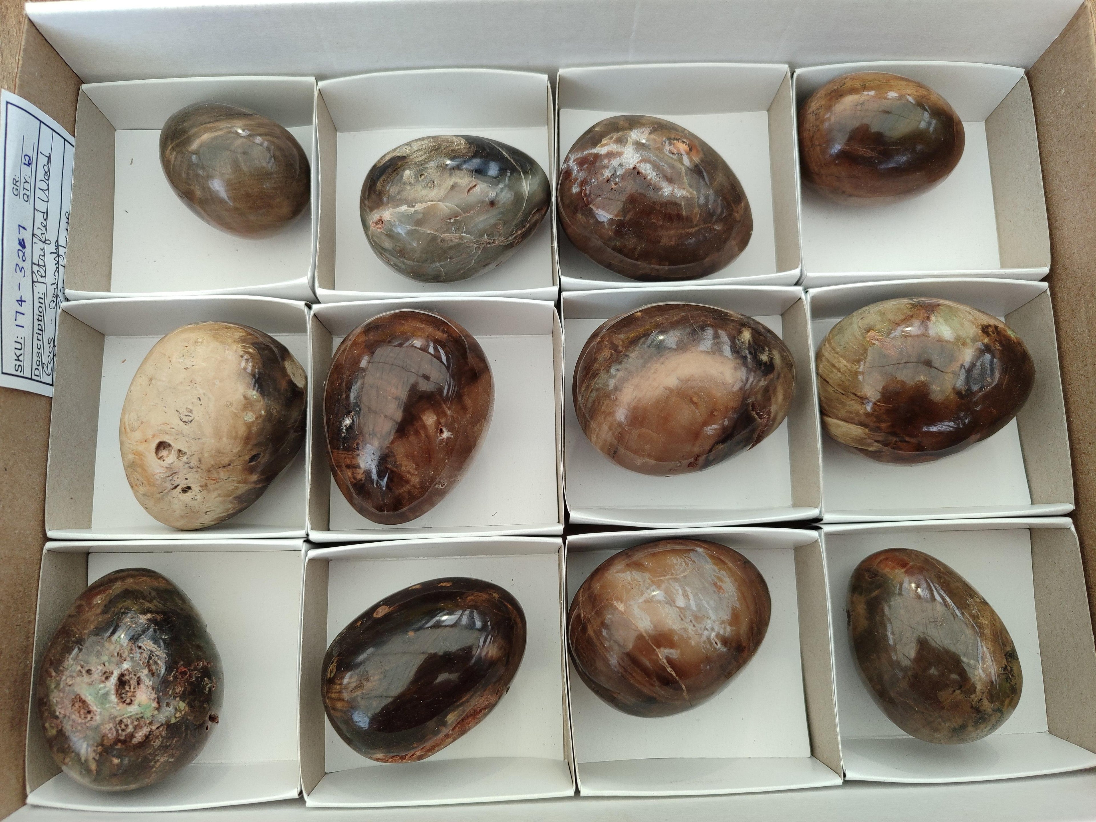Polished Dadoxylon Petrified Wood Eggs x 12 From Gokwe, Zimbabwe