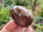Polished Dadoxylon Petrified Wood Eggs x 12 From Gokwe, Zimbabwe