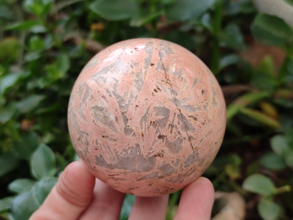 Polished Runestone Moonstone Feldspar Spheres x 4 From Madagascar