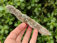 Natural Drusy Quartz Coated Calcite Pseudomorph Crystals x 6 From Alberts Mountain, Lesotho