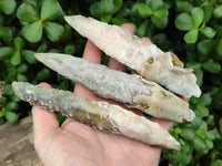 Natural Drusy Quartz Coated Calcite Pseudomorph Crystals x 6 From Alberts Mountain, Lesotho