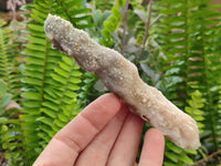 Natural Drusy Quartz Coated Calcite Pseudomorph Crystals x 6 From Alberts Mountain, Lesotho