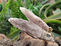 Natural Drusy Quartz Coated Calcite Pseudomorph Crystals x 6 From Alberts Mountain, Lesotho