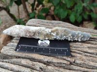 Natural Drusy Quartz Coated Calcite Pseudomorph Crystals x 6 From Alberts Mountain, Lesotho