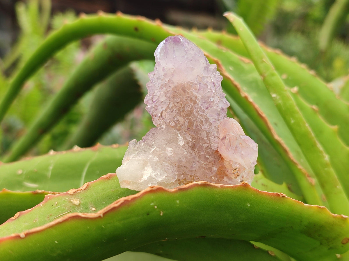Natural Ametrine Spirit Crystals And Clusters x 20 From Boekenhouthoek, South Africa