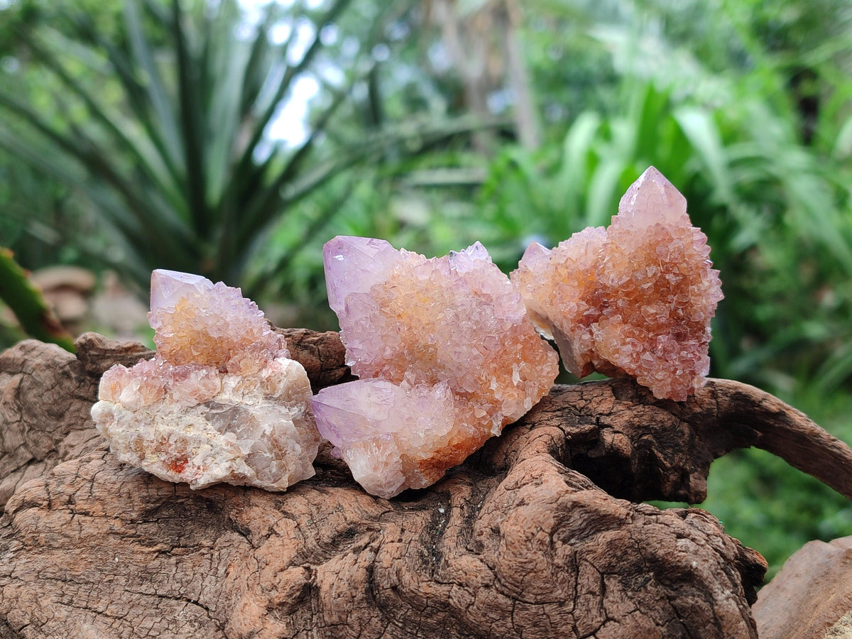 Natural Ametrine Spirit Crystals And Clusters x 20 From Boekenhouthoek, South Africa