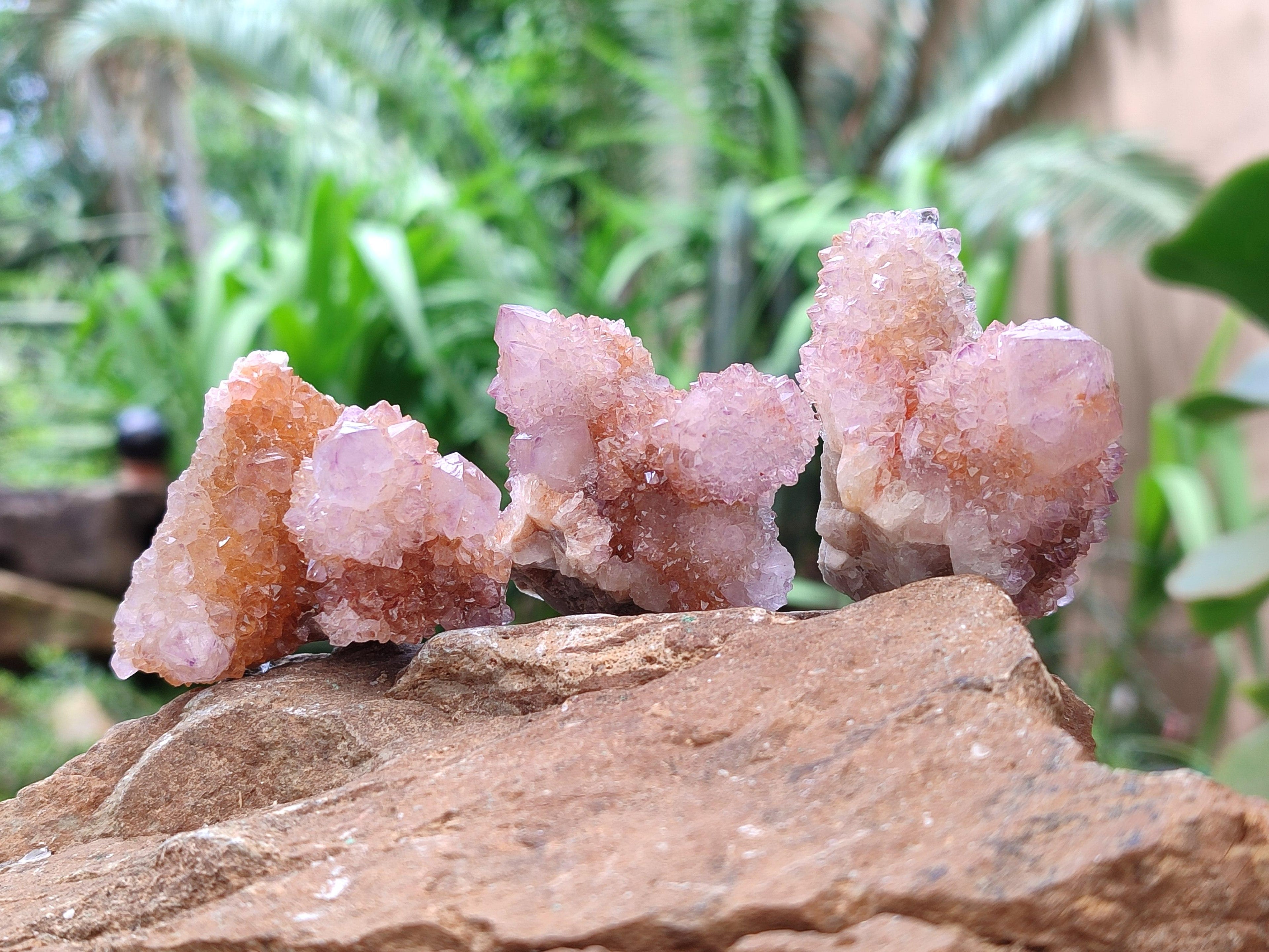 Natural Ametrine Spirit Crystals And Clusters x 20 From Boekenhouthoek, South Africa