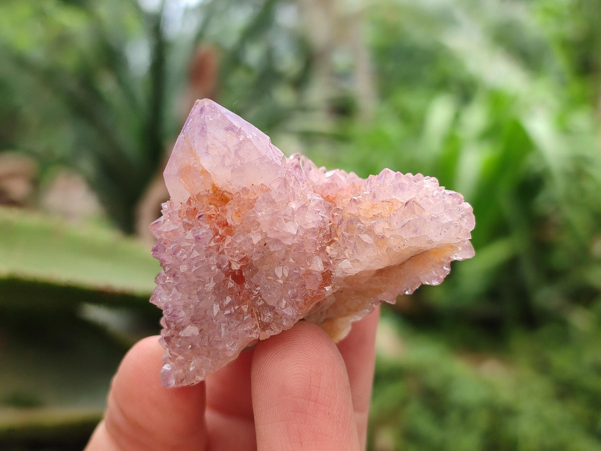Natural Ametrine Spirit Crystals And Clusters x 20 From Boekenhouthoek, South Africa