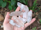 Natural Double Terminated Clear Quartz Crystals x 35 From Madagascar