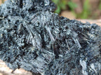 Natural Schorl Black Tourmaline with Vermiculite x 2 From Erongo, Namibia