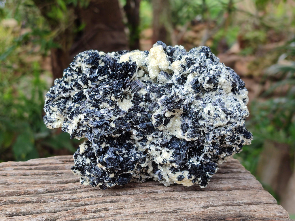 Natural Schorl Black Tourmaline with Vermiculite x 2 From Erongo, Namibia