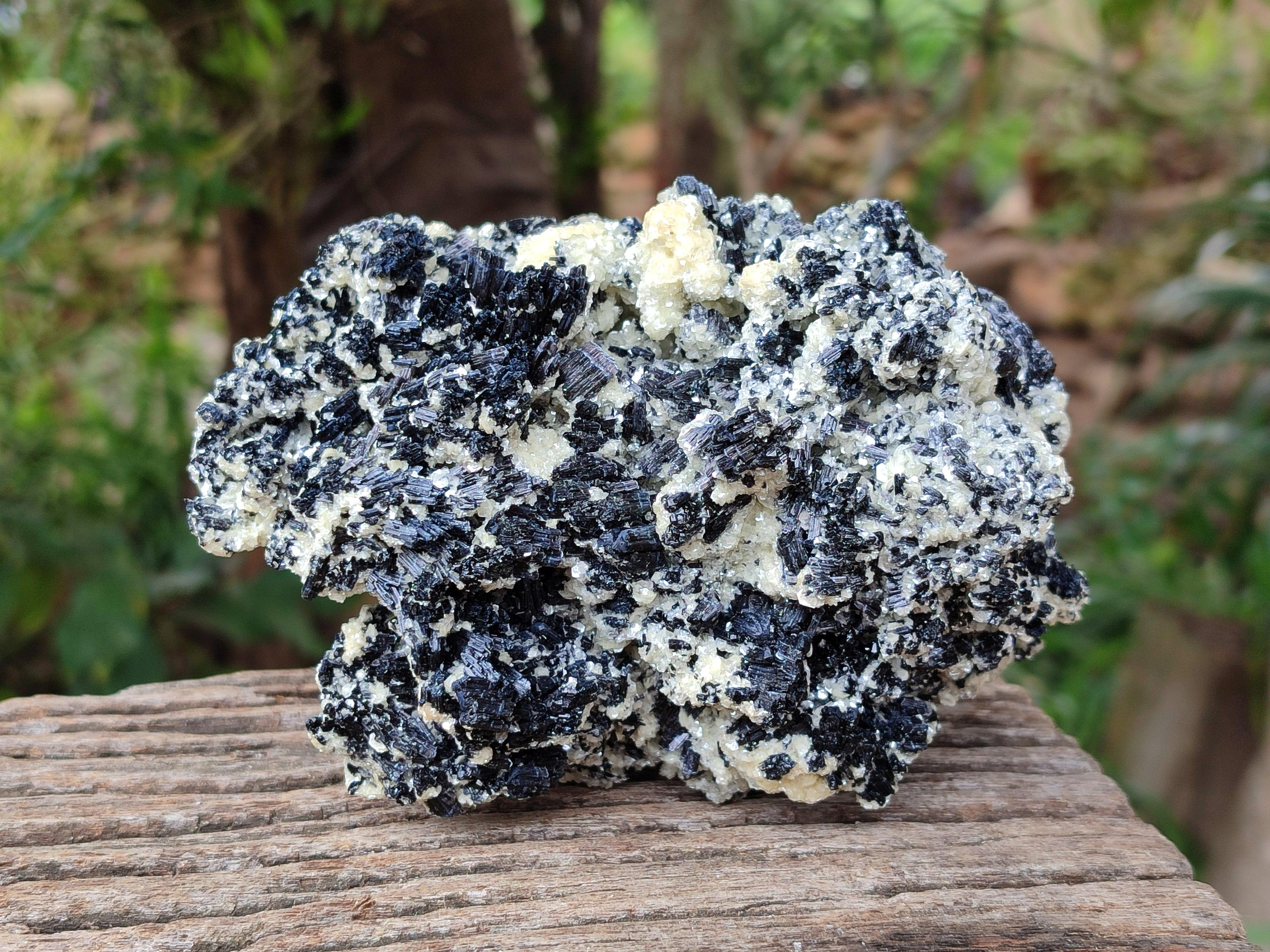 Natural Schorl Black Tourmaline with Vermiculite x 2 From Erongo, Namibia
