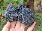 Natural Schorl Black Tourmaline with Vermiculite x 2 From Erongo, Namibia