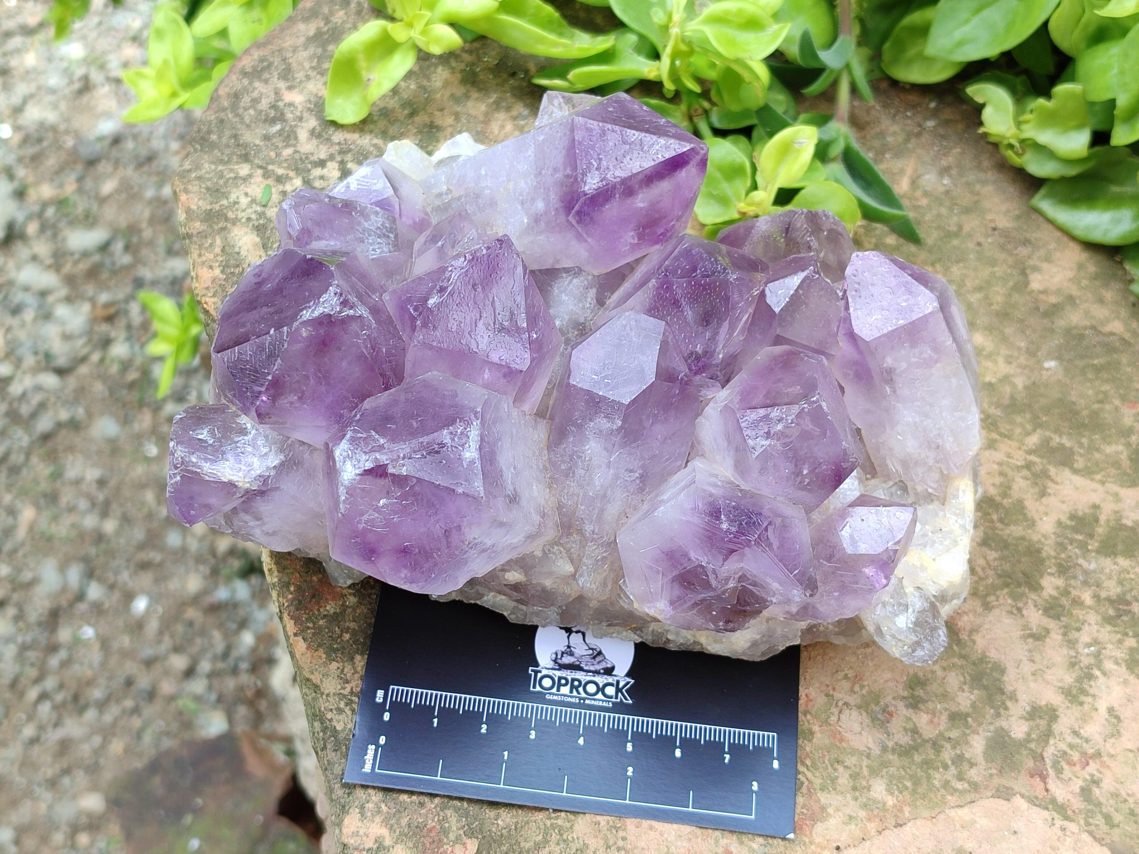 Natural Jacaranda Amethyst Crystal Clusters x 2 From Mumbwa, Zambia