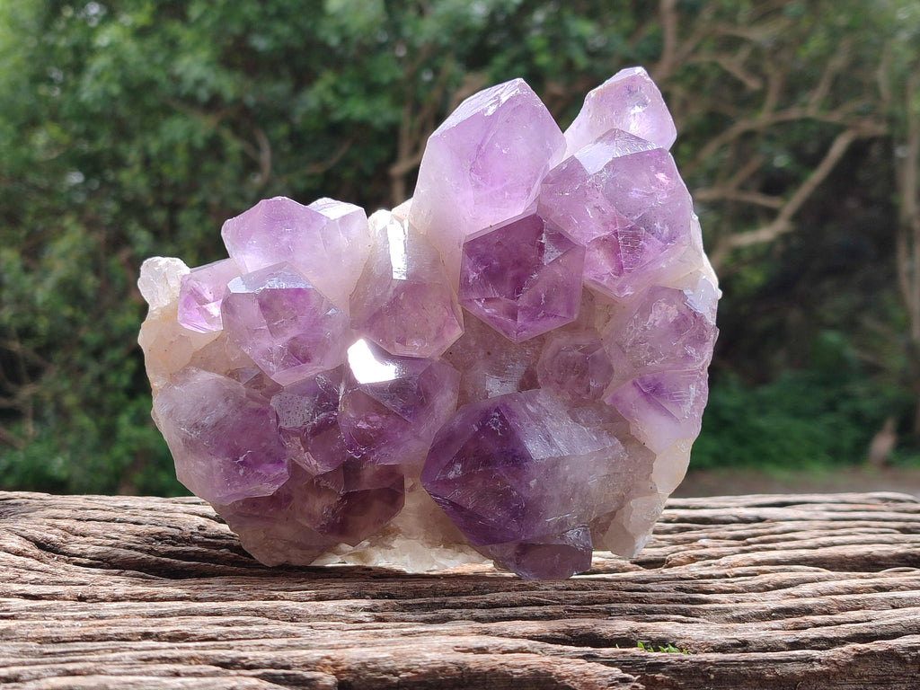 Natural Jacaranda Amethyst Crystal Clusters x 2 From Mumbwa, Zambia