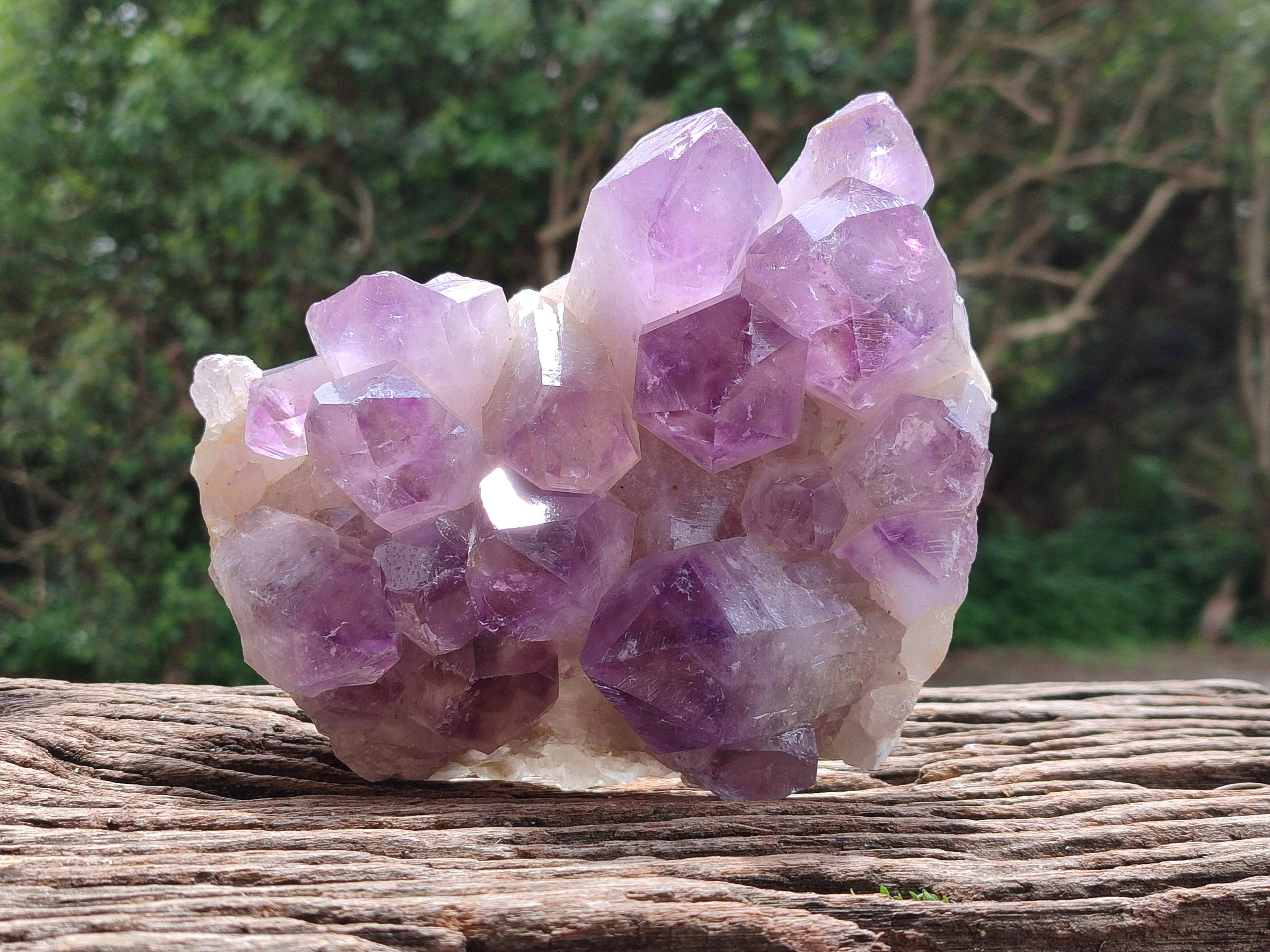 Natural Jacaranda Amethyst Crystal Clusters x 2 From Mumbwa, Zambia