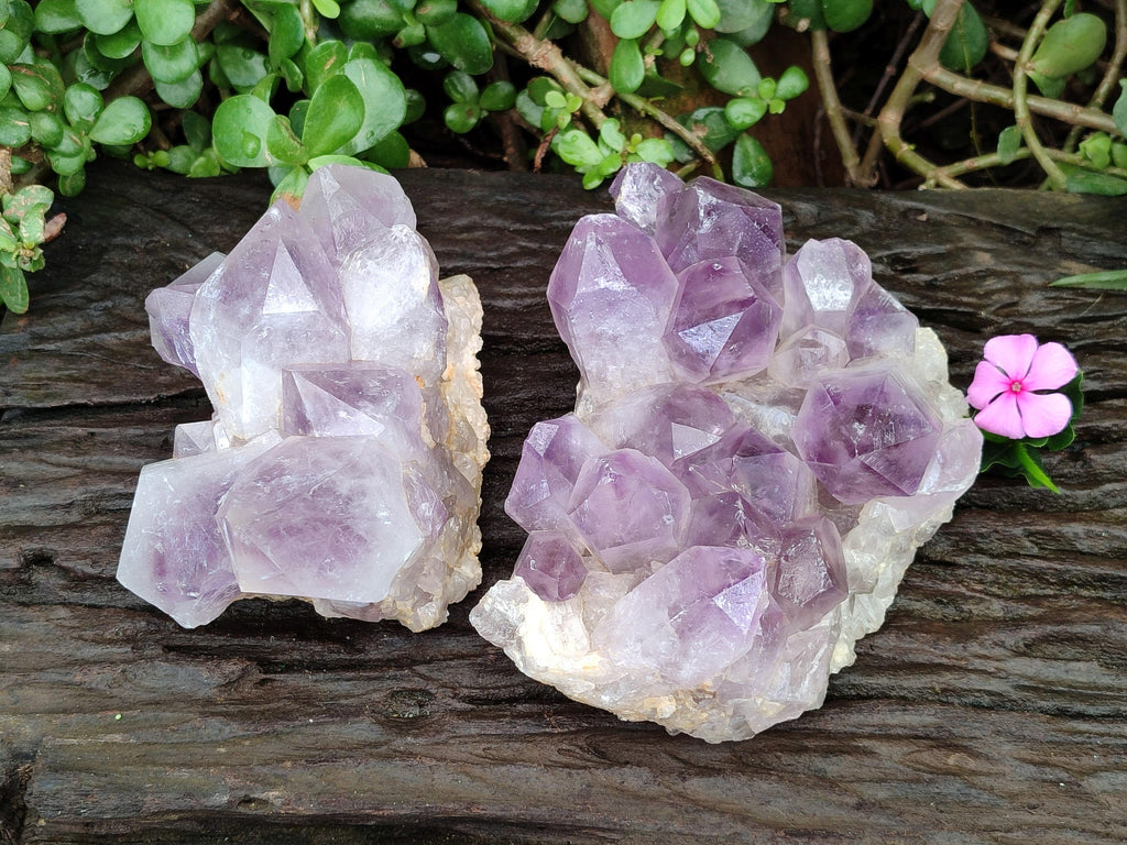 Natural Jacaranda Amethyst Crystal Clusters x 2 From Mumbwa, Zambia