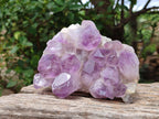 Natural Jacaranda Amethyst Crystal Clusters x 2 From Mumbwa, Zambia