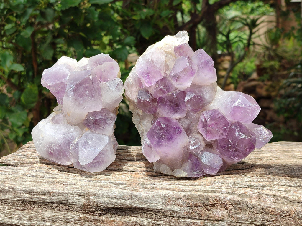 Natural Jacaranda Amethyst Crystal Clusters x 2 From Mumbwa, Zambia