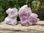Natural Jacaranda Amethyst Crystal Clusters x 2 From Mumbwa, Zambia