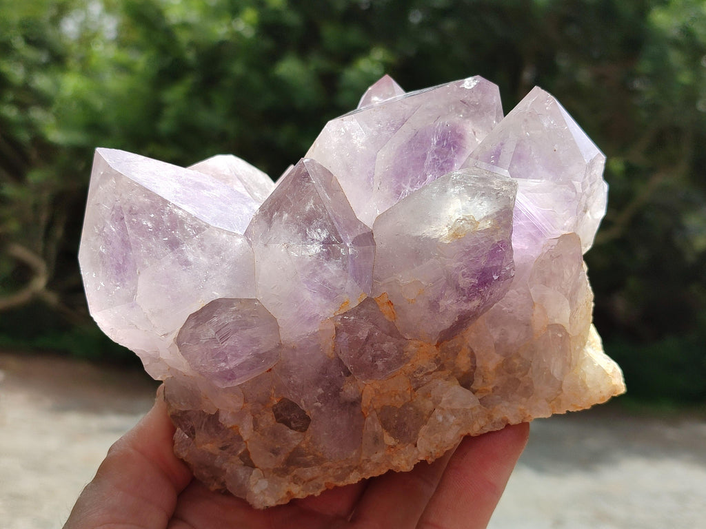 Natural Jacaranda Amethyst Crystal Clusters x 2 From Mumbwa, Zambia