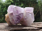Natural Jacaranda Amethyst Crystal Clusters x 2 From Mumbwa, Zambia